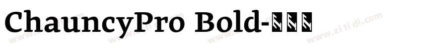 ChauncyPro Bold字体转换